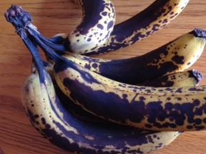 Old Bananas